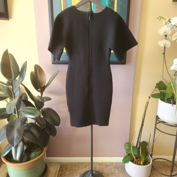 Herve Leger semi formal dress. - Picture 6 of 6